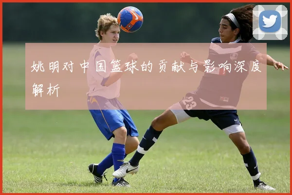 姚明对中国篮球的贡献与影响深度解析