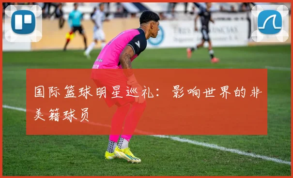 国际篮球明星巡礼：影响世界的非美籍球员